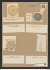 Coscinodiscus bulliens A. Schum. (de-Toni-Nr.: Genus 202, Species 4977) Zeichnungen Sammlung Grunow Nr. 8591 (NHMW-BOT-W0378245)